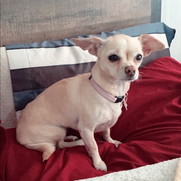 Meet your Posher, Anne - Picture 2 of 2